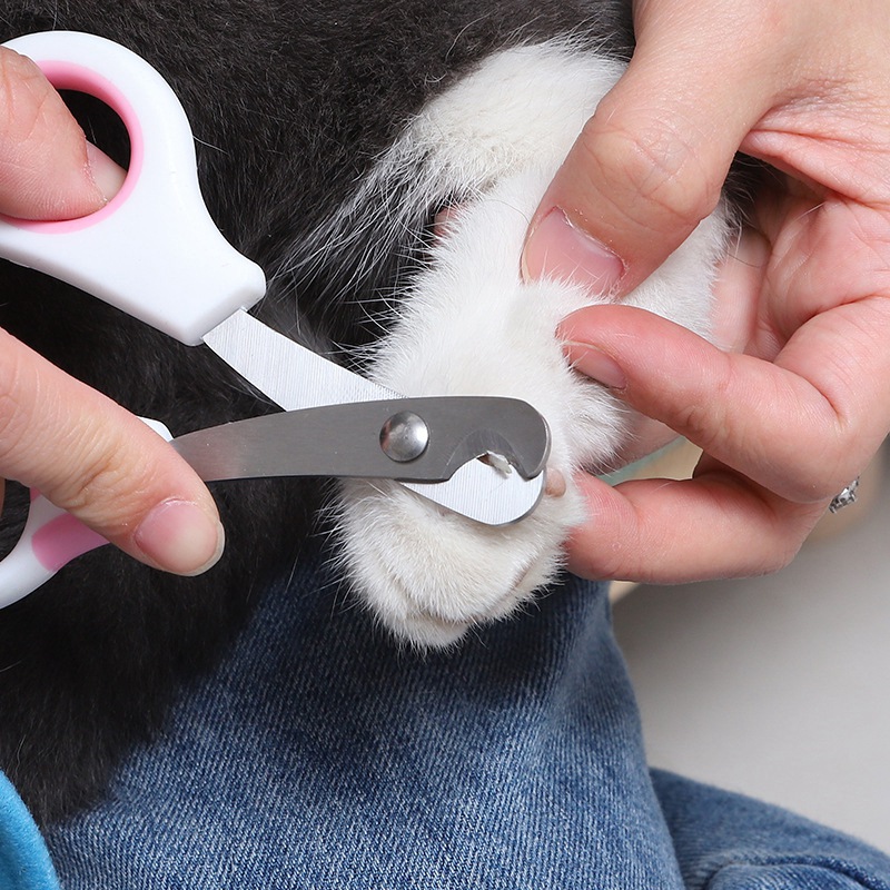 Pet Nail Care Scissors Pet Nai - Grooming Scissors 评论和价格